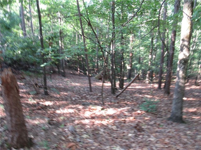 00 Murphy Rd, Sunset, SC 29685 - photo 10