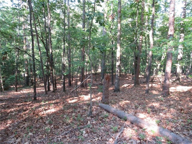 00 Murphy Rd, Sunset, SC 29685 - photo 12