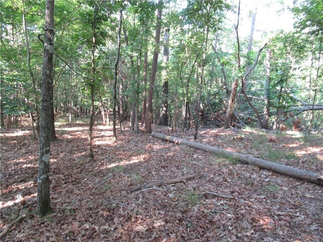 00 Murphy Rd, Sunset, SC 29685 - photo 13