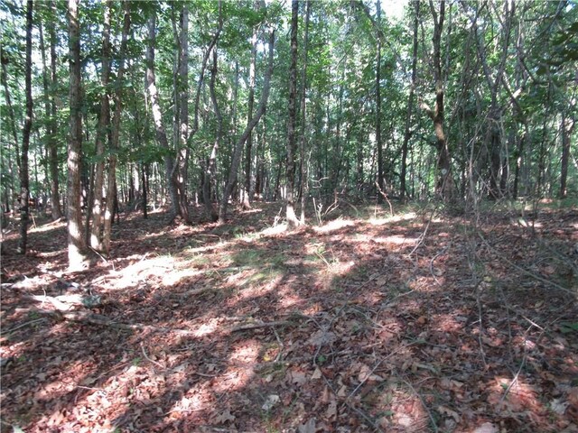 00 Murphy Rd, Sunset, SC 29685 - photo 15