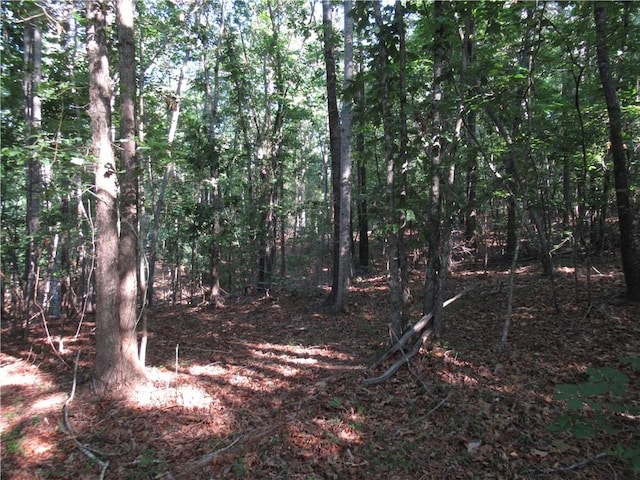 00 Murphy Rd, Sunset, SC 29685 - photo 16