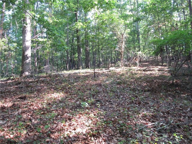 00 Murphy Rd, Sunset, SC 29685 - photo 17