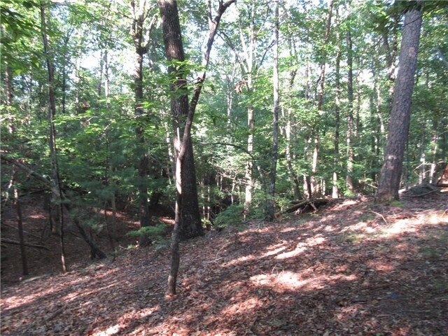 00 Murphy Rd, Sunset, SC 29685 - photo 19