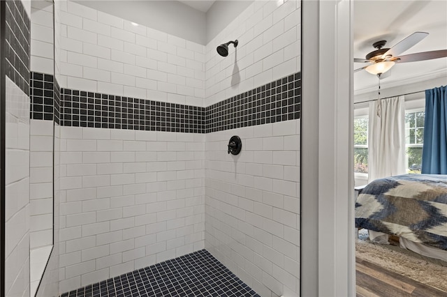 500 Serria Way, Seneca, SC 29678 - full bathroom with connected bathroom, a tile shower, and ceiling fan