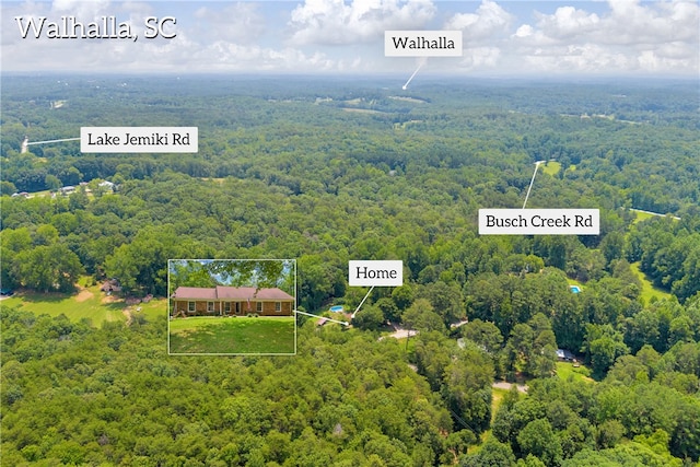 1399 Lake Jemiki Rd, Walhalla, SC 29691 - view of property location featuring a forest and property parcel outlined