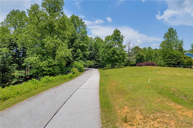 812 Lenore B Ln, Mountain Rest, SC 29664 - photo 4