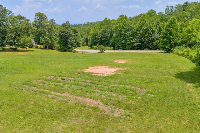812 Lenore B Ln, Mountain Rest, SC 29664 - photo 6