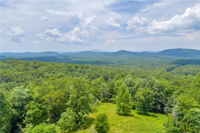 812 Lenore B Ln, Mountain Rest, SC 29664 - photo 7