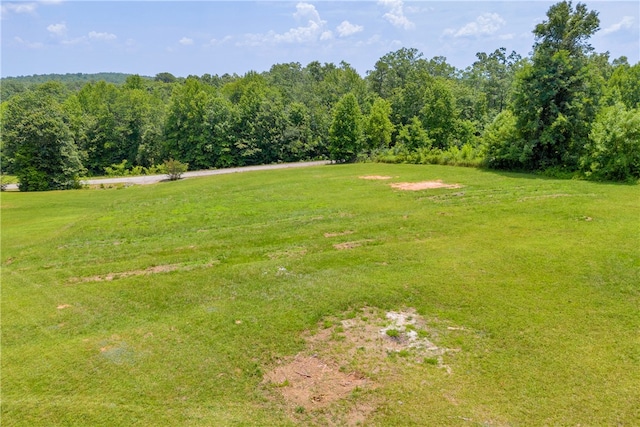 812 Lenore B Ln, Mountain Rest, SC 29664 - photo 8