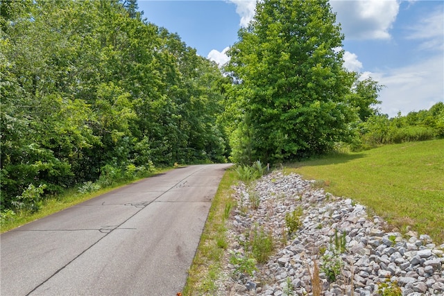 812 Lenore B Ln, Mountain Rest, SC 29664 - photo 11