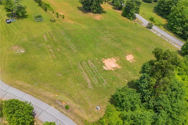 812 Lenore B Ln, Mountain Rest, SC 29664 - photo 14