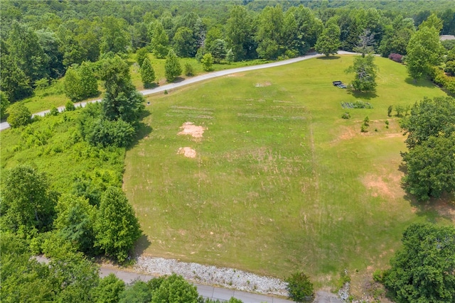 812 Lenore B Ln, Mountain Rest, SC 29664 - photo 15