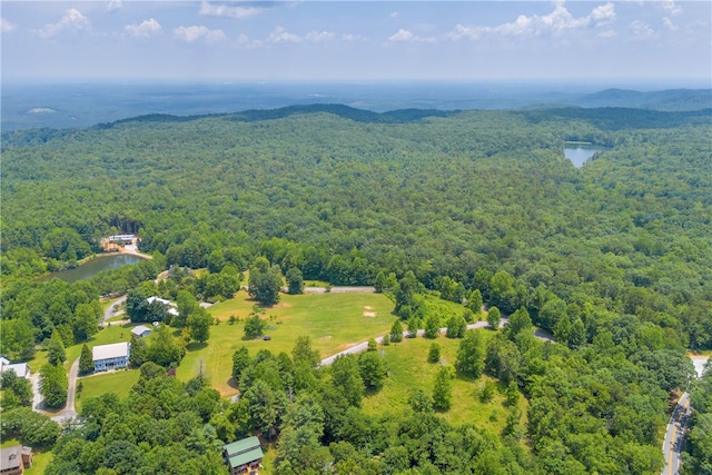 812 Lenore B Ln, Mountain Rest, SC 29664 - photo 16
