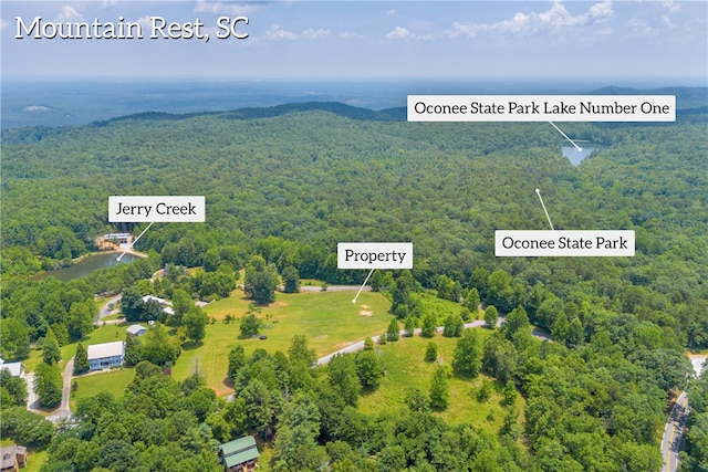 812 Lenore B Ln, Mountain Rest, SC 29664 - photo 17