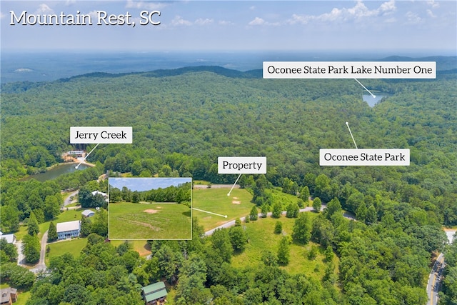 812 Lenore B Ln, Mountain Rest, SC 29664 - photo 18