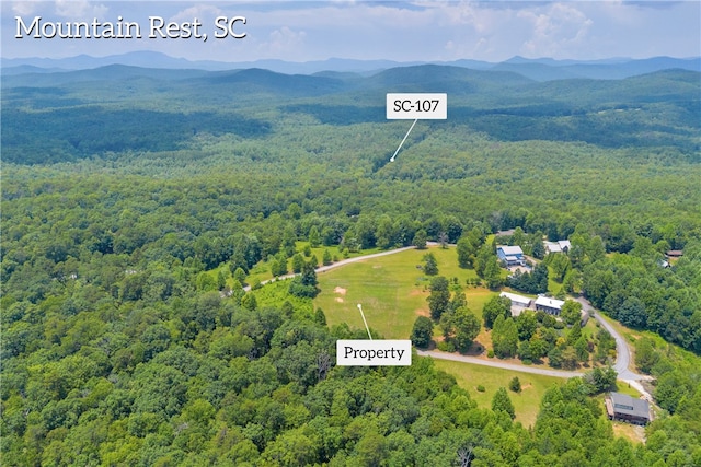 812 Lenore B Ln, Mountain Rest, SC 29664 - photo 20