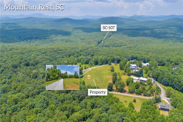 812 Lenore B Ln, Mountain Rest, SC 29664 - photo 21