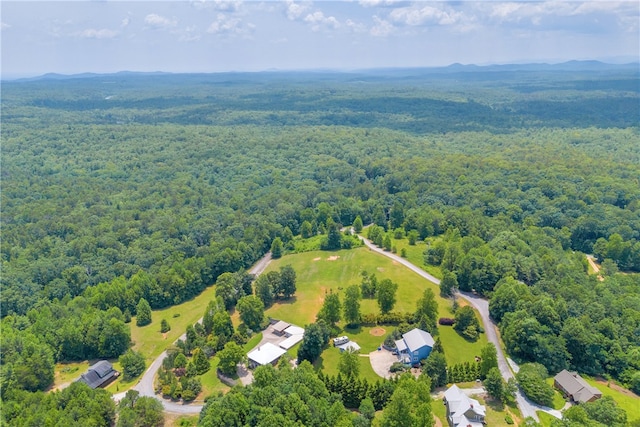 812 Lenore B Ln, Mountain Rest, SC 29664 - photo 22