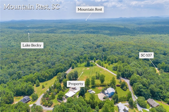 812 Lenore B Ln, Mountain Rest, SC 29664 - photo 23