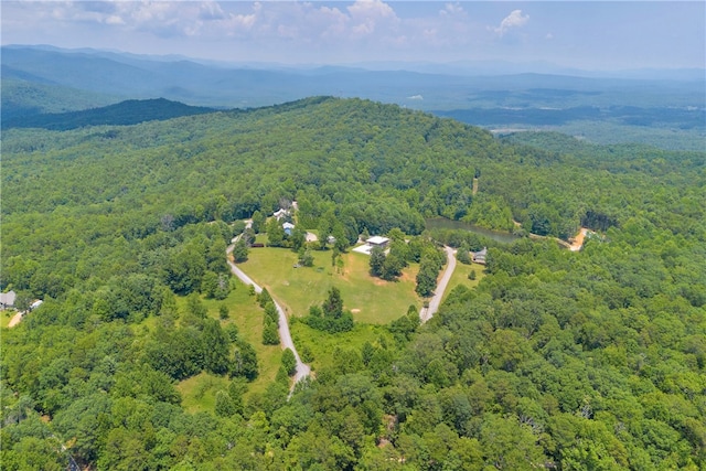 812 Lenore B Ln, Mountain Rest, SC 29664 - photo 24
