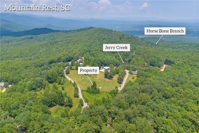 812 Lenore B Ln, Mountain Rest, SC 29664 - photo 25