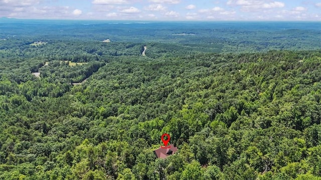 316 Mountain Laurel Dr, Salem, SC 29676 - bird's eye view of a heavily wooded area