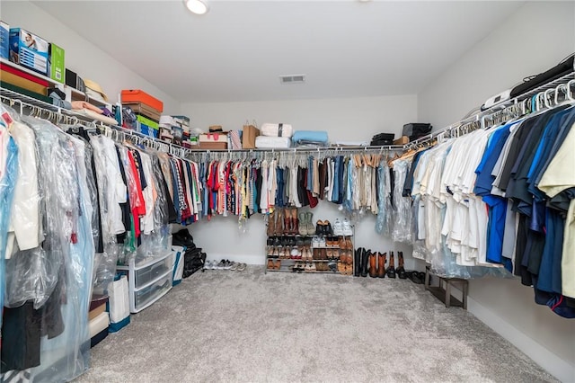 420 Merkel Dr, Greer, SC 29651 - spacious closet with carpet flooring