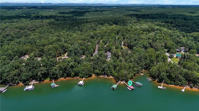 209 Stone River Dr, Fair Play, SC 29643 - photo 44