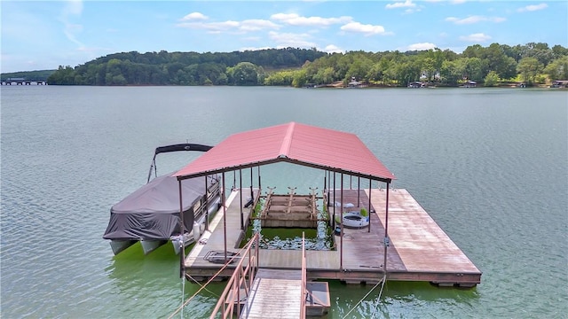 209 Stone River Dr, Fair Play, SC 29643 - photo 46