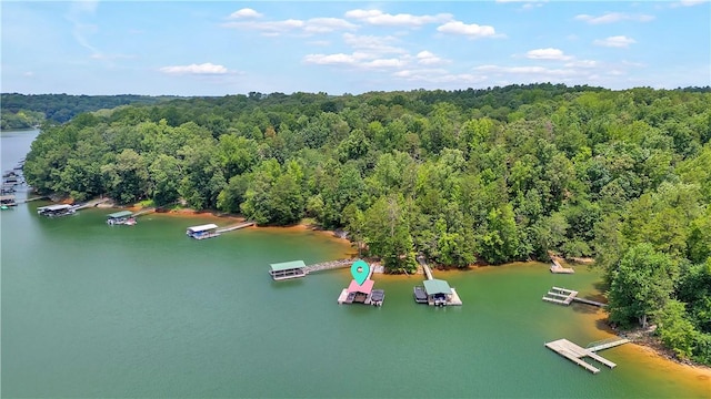 209 Stone River Dr, Fair Play, SC 29643 - photo 47