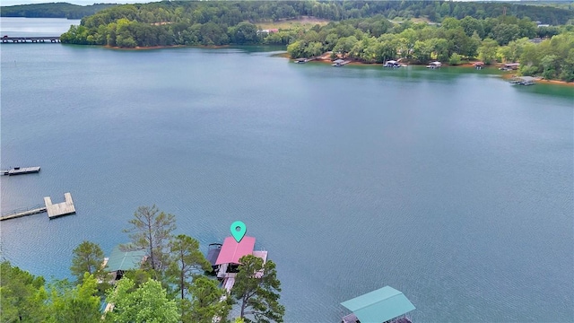 209 Stone River Dr, Fair Play, SC 29643 - photo 5
