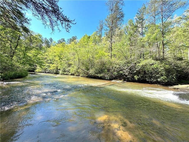 315 Mill House Dr, Salem, SC 29676 - photo 3