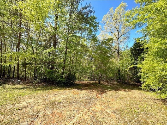 315 Mill House Dr, Salem, SC 29676 - photo 9