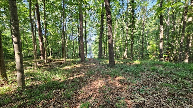 184 Seminole Point Rd, Fair Play, SC 29643 - photo 2