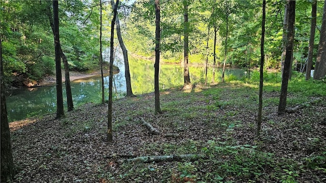 184 Seminole Point Rd, Fair Play, SC 29643 - photo 3