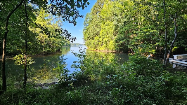 184 Seminole Point Rd, Fair Play, SC 29643 - photo 5