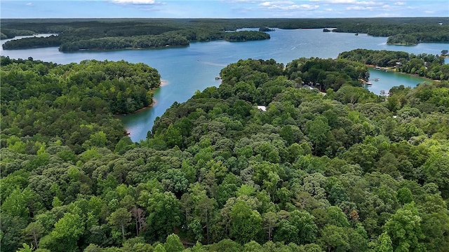 184 Seminole Point Rd, Fair Play, SC 29643 - photo 8