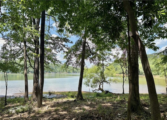 LOT2 Little Creek Rd, Anderson, SC 29621 - photo 4