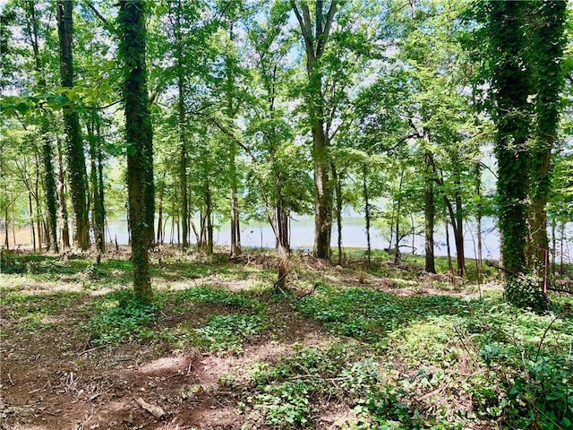 LOT2 Little Creek Rd, Anderson, SC 29621 - photo 5