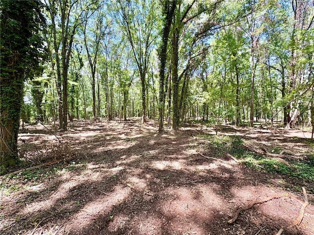 LOT2 Little Creek Rd, Anderson, SC 29621 - photo 6