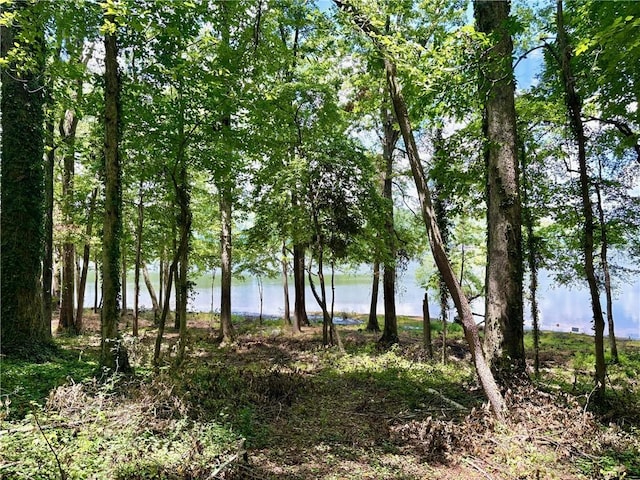 LOT2 Little Creek Rd, Anderson, SC 29621 - photo 7