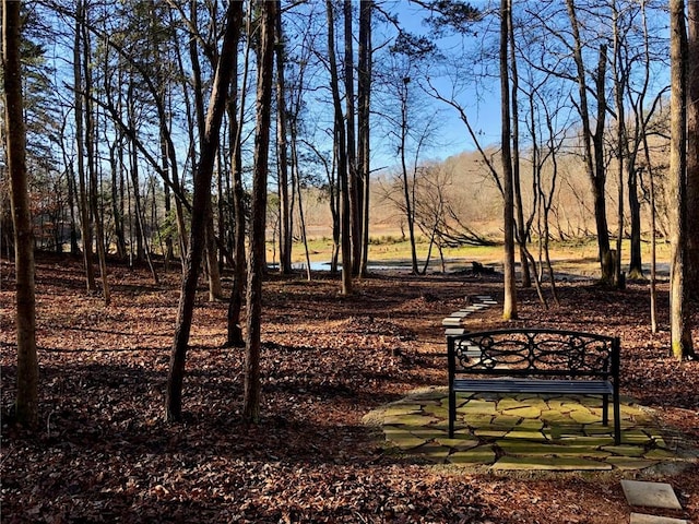 210 Wakefield Dr, Seneca, SC 29678 - surrounding community