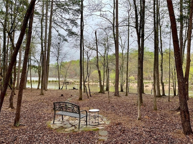 210 Wakefield Dr, Seneca, SC 29678 - surrounding community featuring a water view