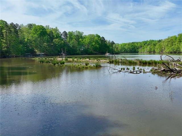 210 Wakefield Dr, Seneca, SC 29678 - water view featuring a forest