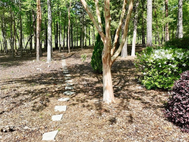 210 Wakefield Dr, Seneca, SC 29678 - view of yard