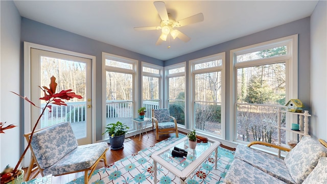 210 Wakefield Dr, Seneca, SC 29678 - sunroom / solarium featuring plenty of natural light and wood finished floors