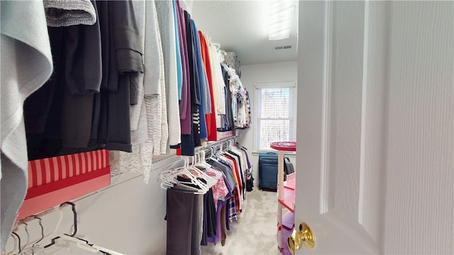 210 Wakefield Dr, Seneca, SC 29678 - spacious closet with light carpet