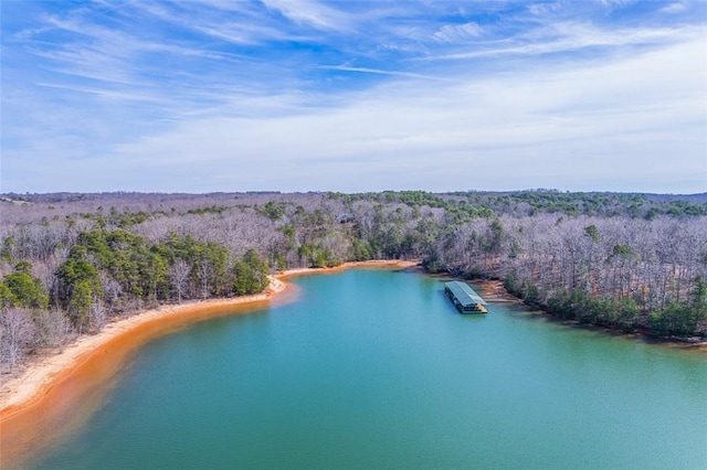 410 Peninsula Dr, Anderson, SC 29626 - photo 7