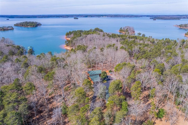 410 Peninsula Dr, Anderson, SC 29626 - photo 11