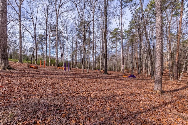 410 Peninsula Dr, Anderson, SC 29626 - photo 46